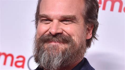 david harbour imdb|david harbour net worth.